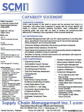 SCMI1 Government Services Capability Statement